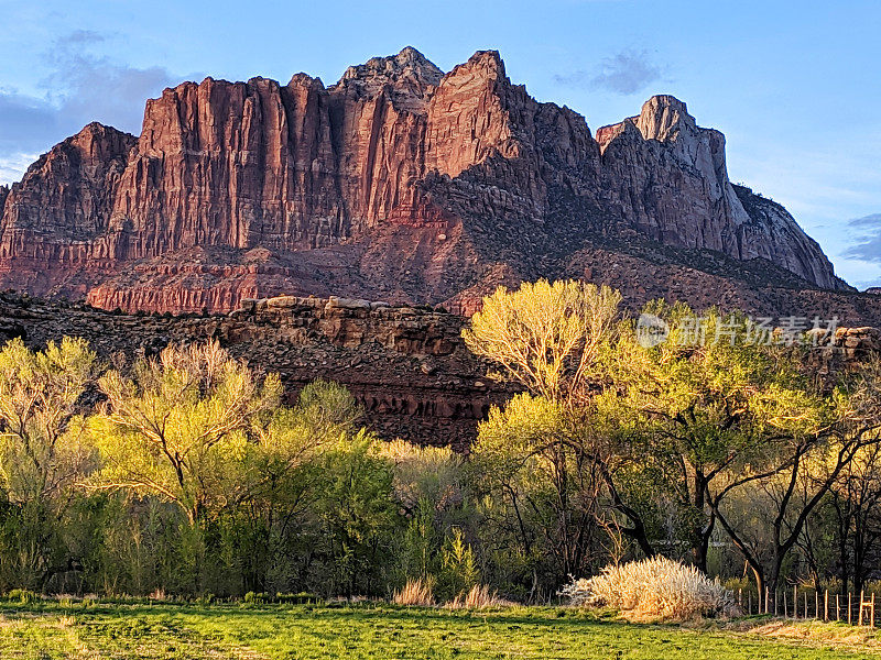 犹他州锡安国家公园(Zion National Park)日落和黄昏时，沿着维珍河(Virgin River)山下的牧场篱笆，野生果树上的春花